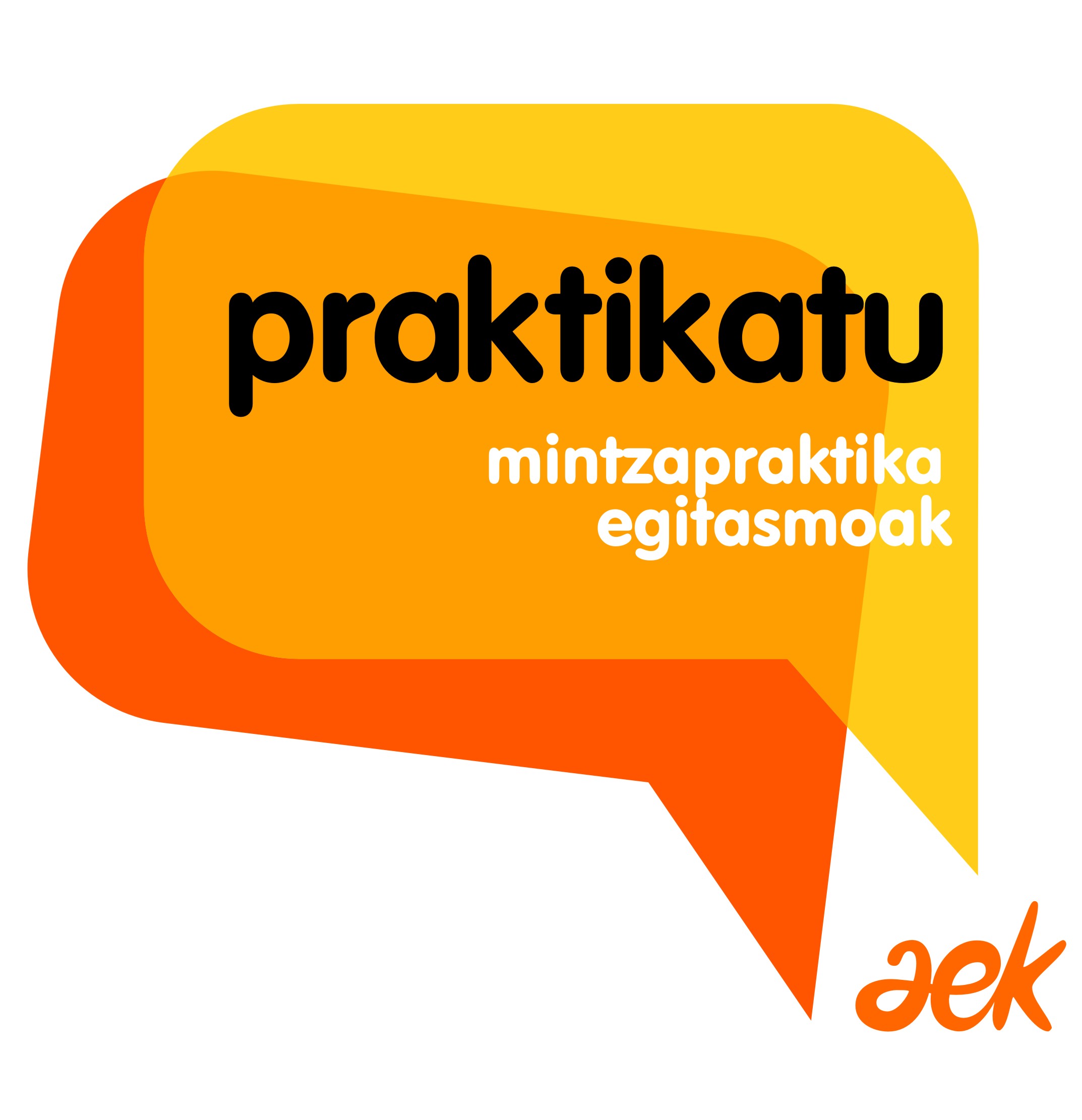 praktikatuaek