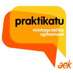 praktikatuaek