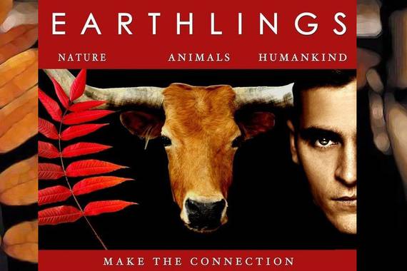 Ukrainako bahiketa baterako motibo izan den Earthlings filma euskaraz dago