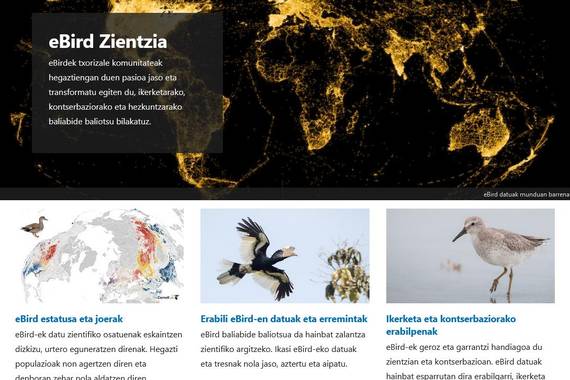 eBird aplikazioa eta webgunea euskaraz daude orain