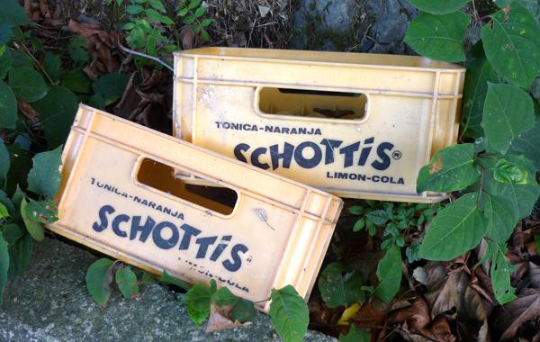 Schottis