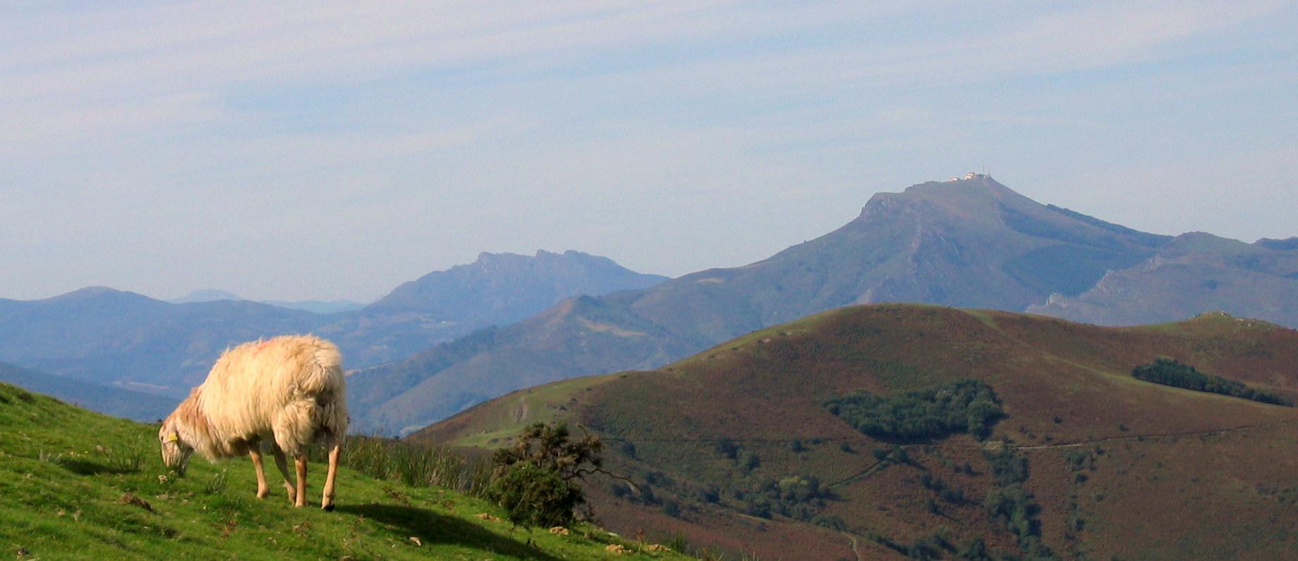 Larrun eta Aiako Harria