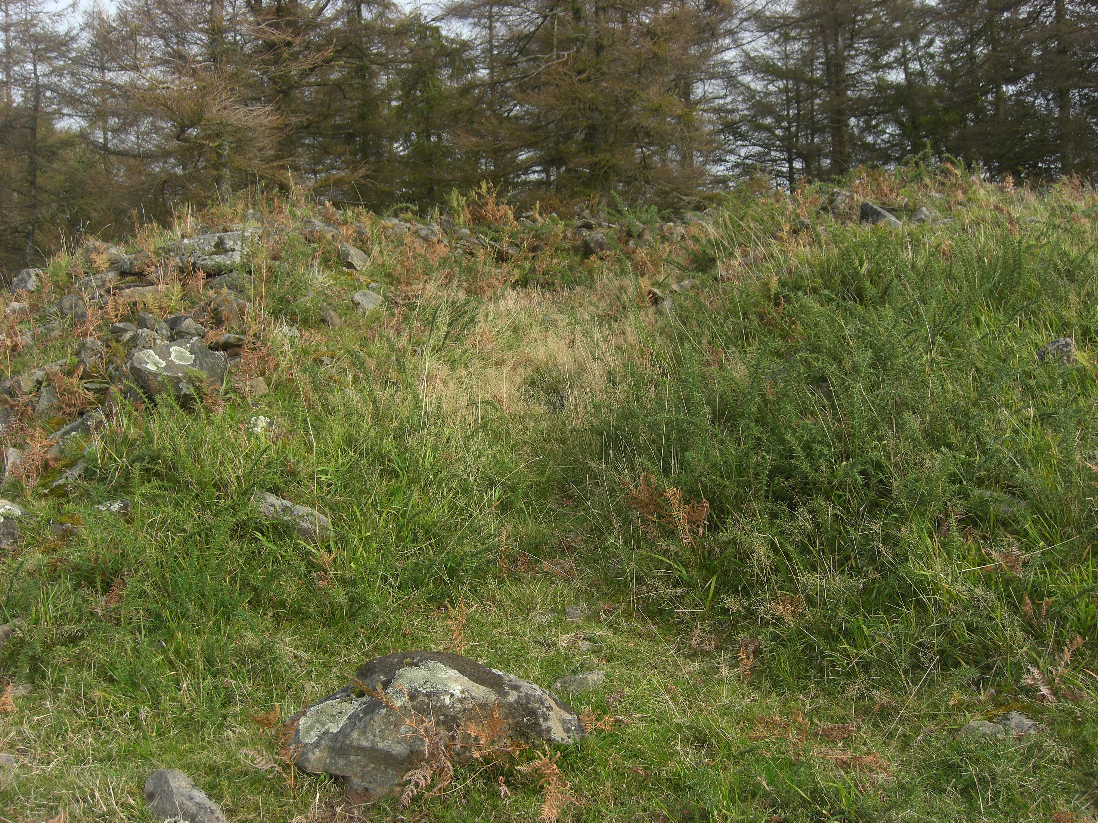 Naasiko Goena, tumulua