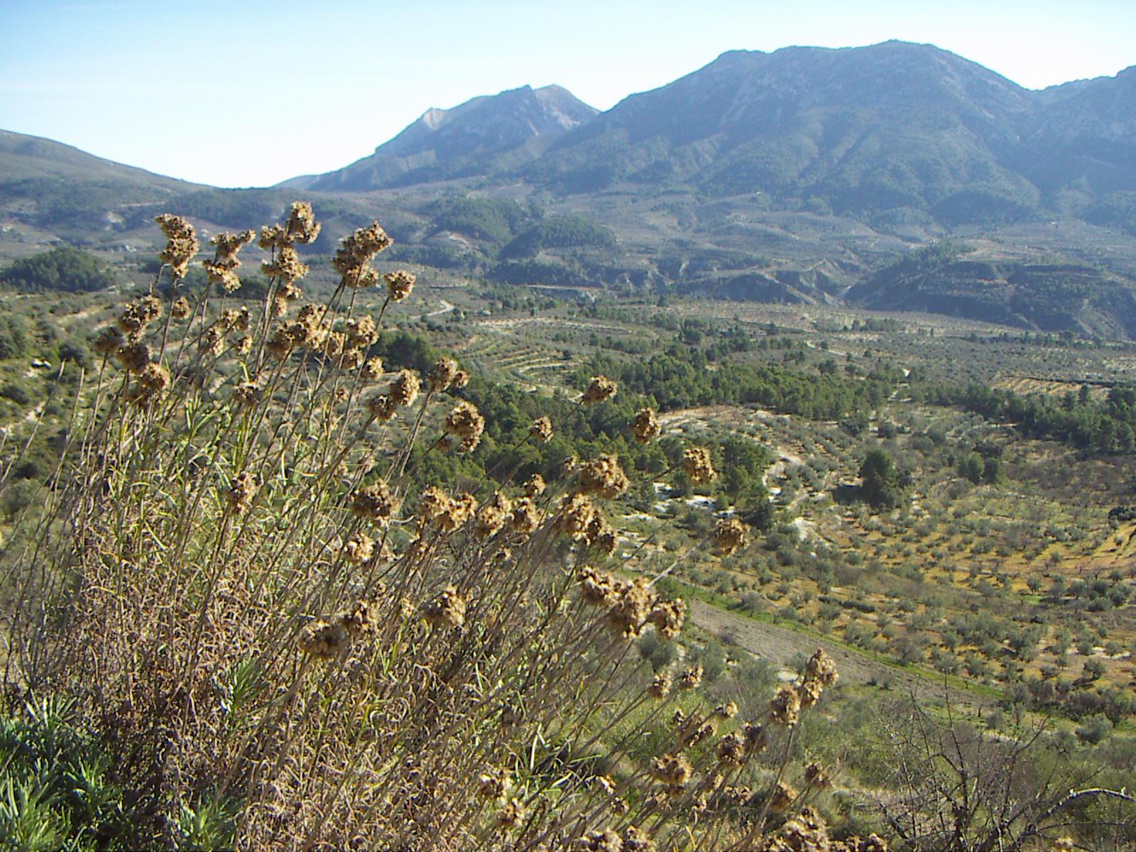 La vall de Seta
