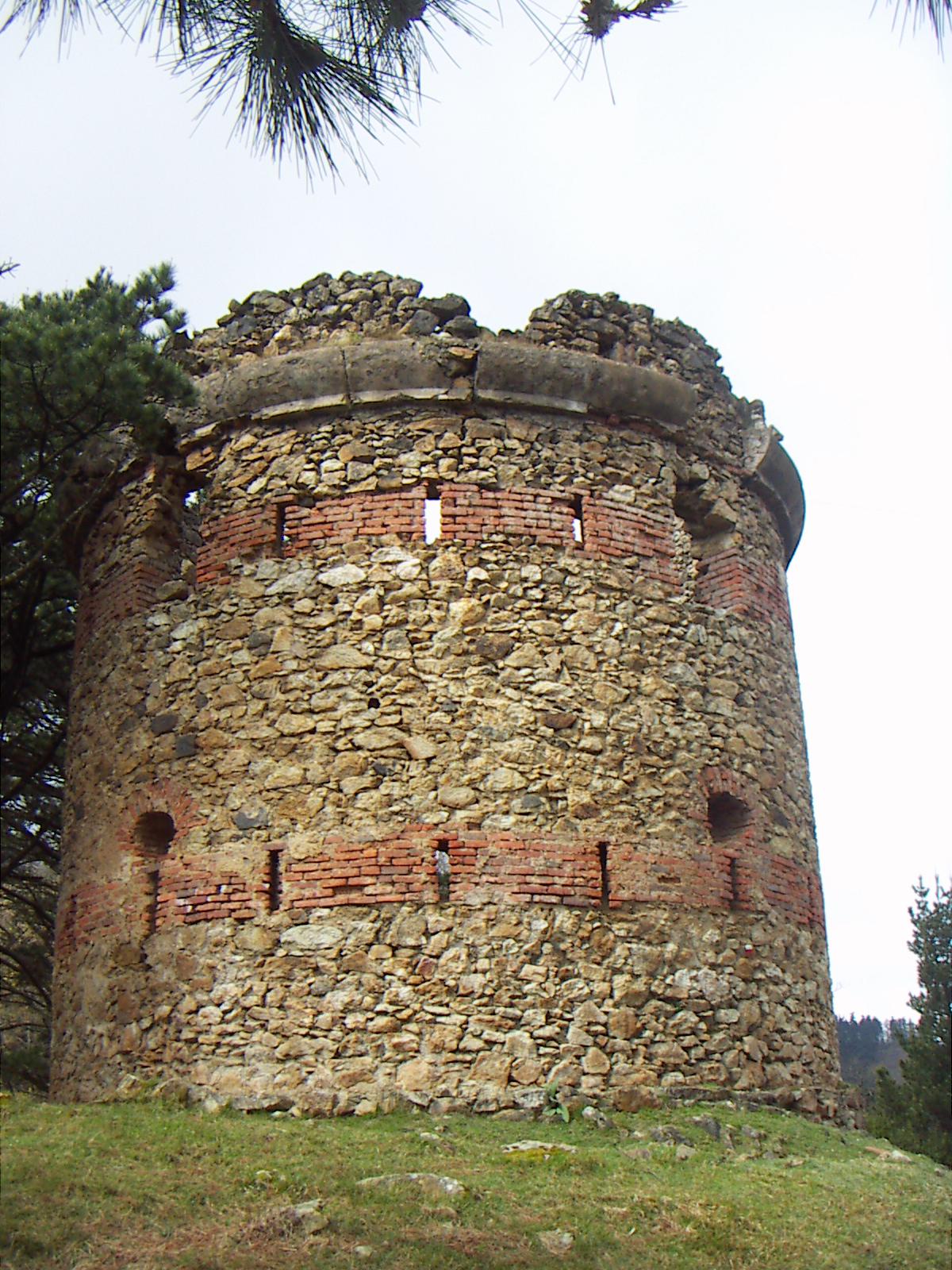 Pika torria, hurragotik