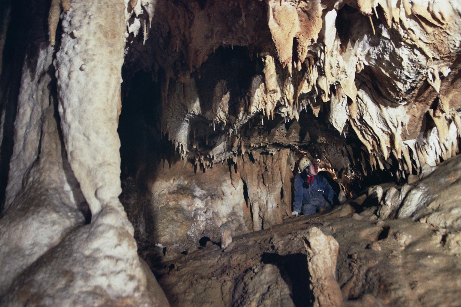Lehelengo katazulua