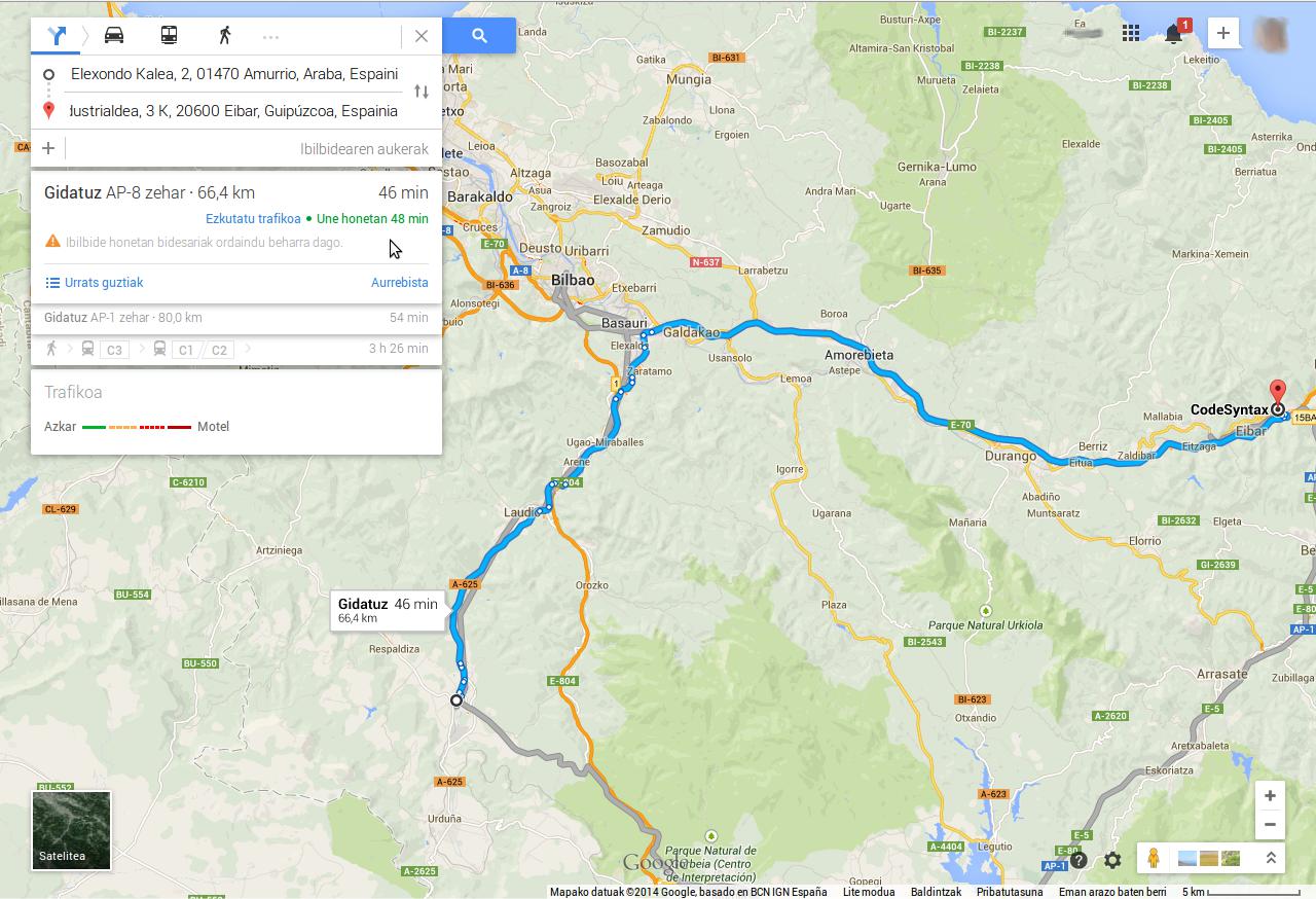 Google maps berria