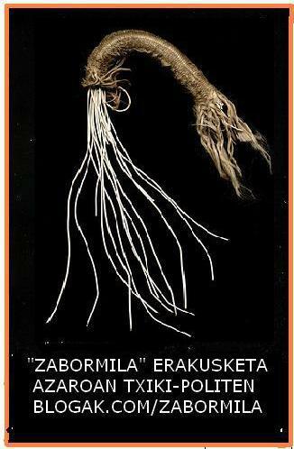 Erakusketa02