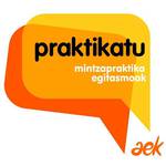 praktikatu