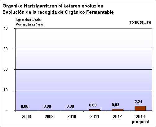 TXINGUDI ORG EBOLUZIOA