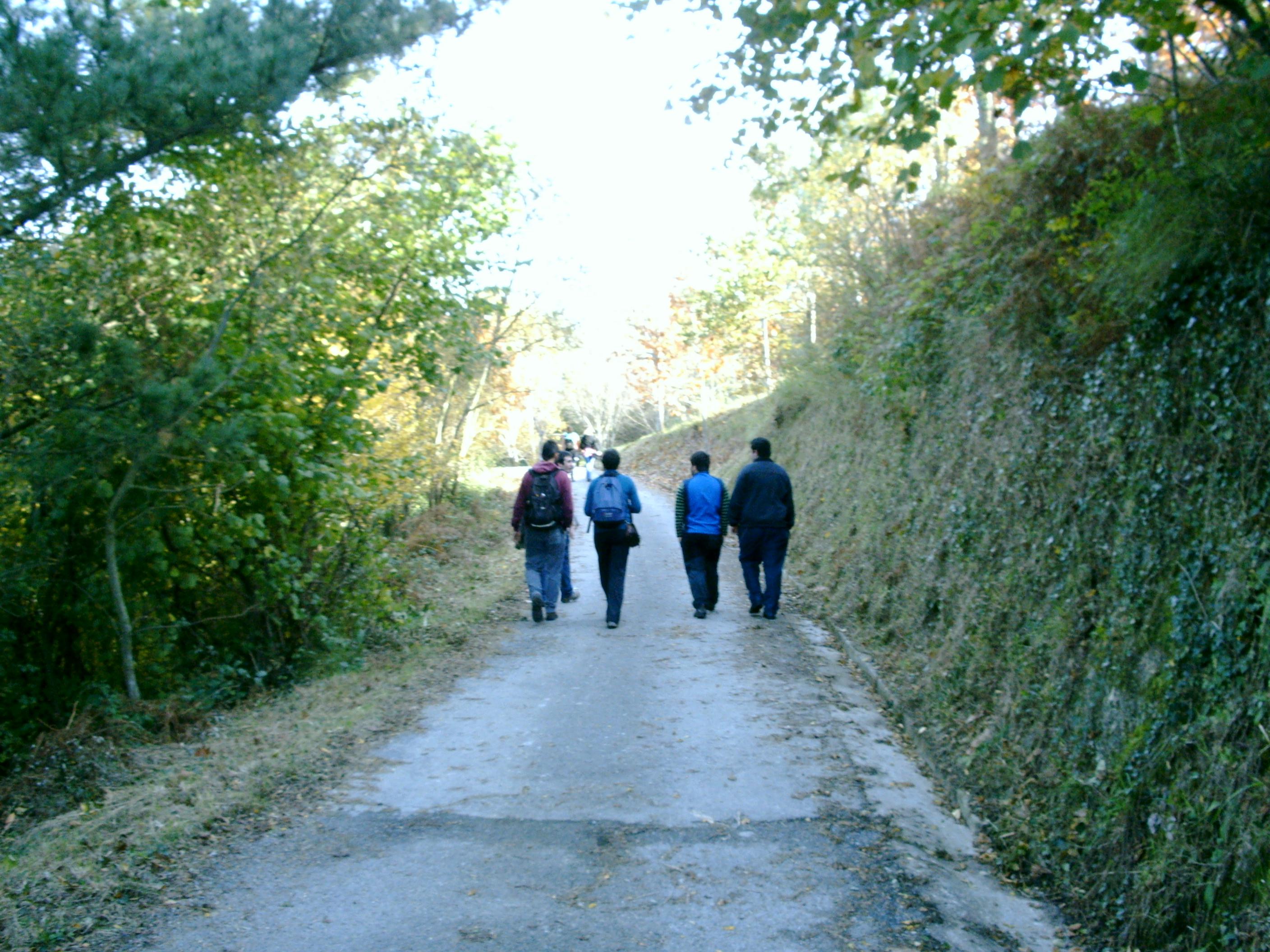 irteera 1