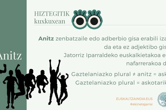 'Euskal Herri anitza' oker dagoela dio Euskaltzaindiak: anitz ez da adjektiboa