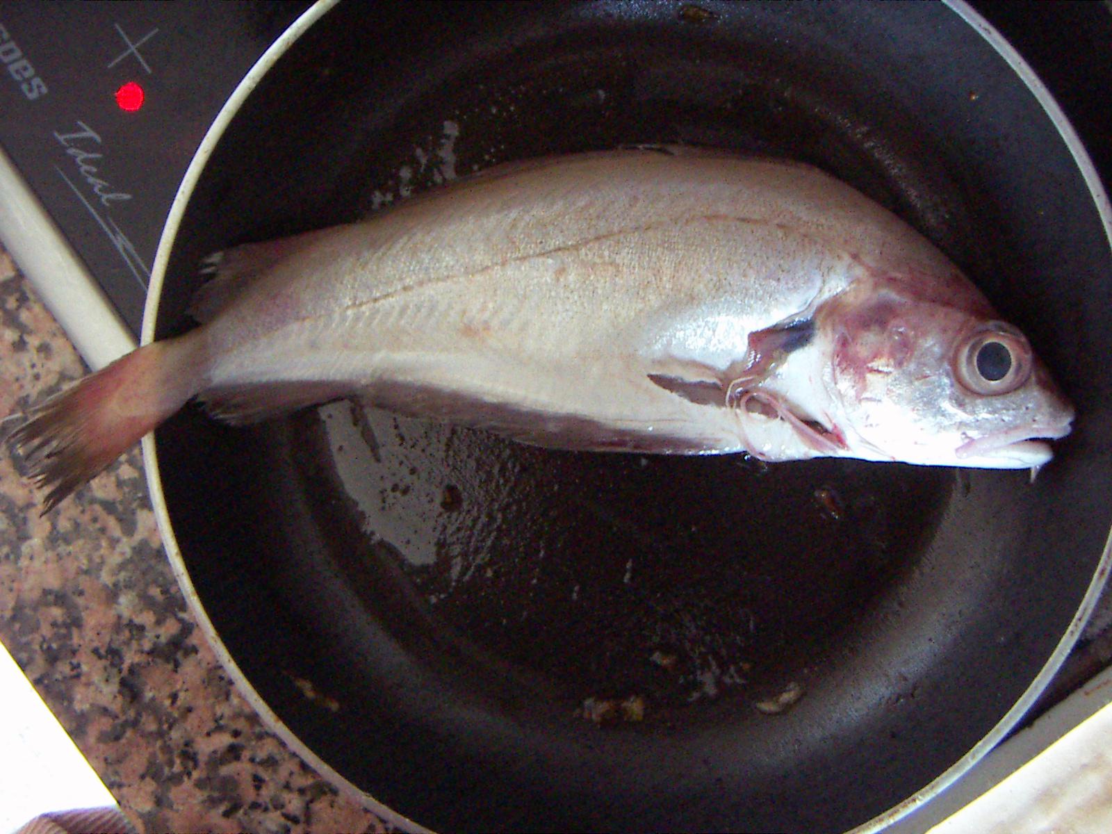 Takartia