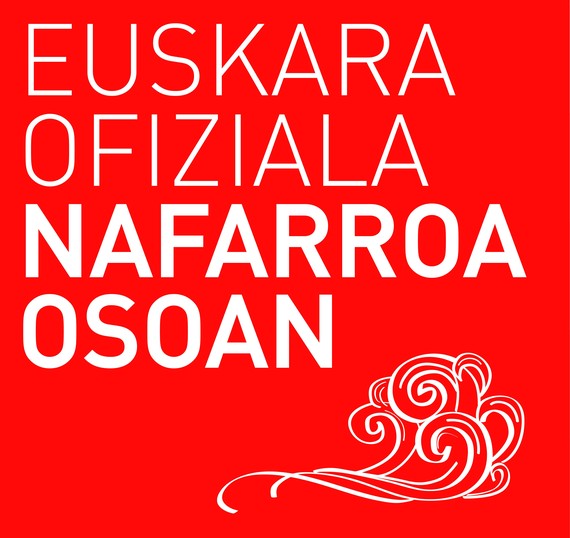 Euskara Ofiziala Nafarroa Osoan: "Bultza dezagun aukera hau", Zigor Etxeburuak