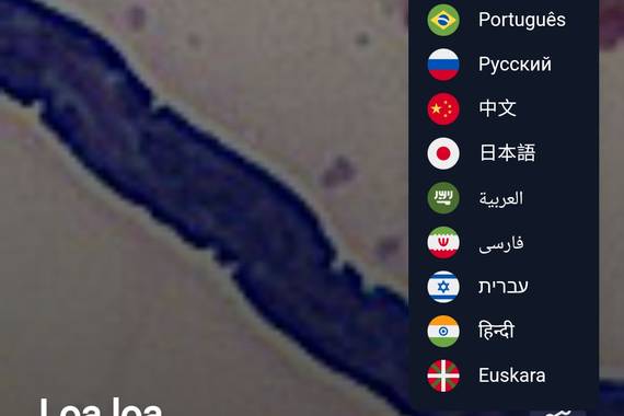 Wikitok, nabigatu Wikipedian TikTok-en arituko bazina bezala