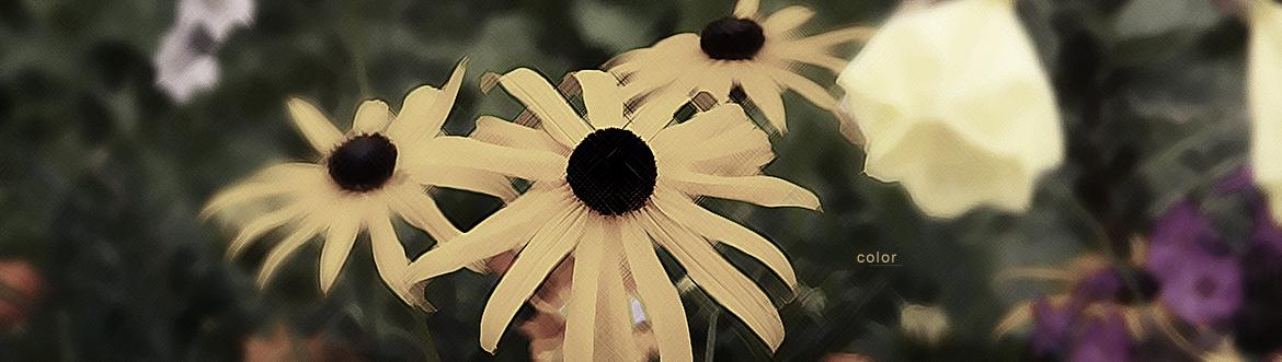 test2