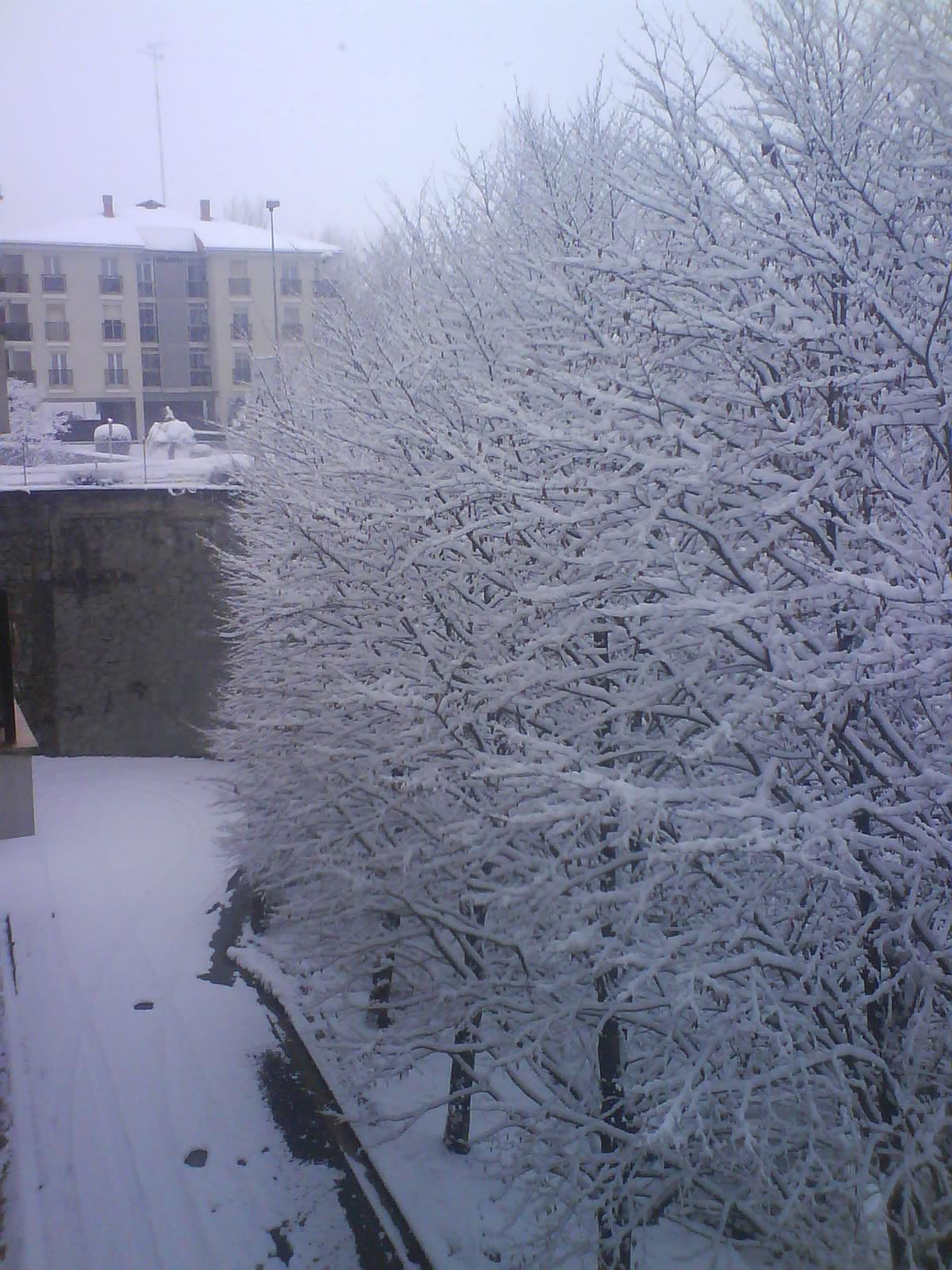 Elurtea Donostian
