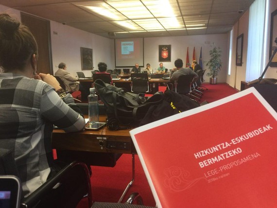 Kontseiluaren protesta, Nafarroako euskararen estatus legala dela eta