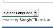 Google Translate widgeta