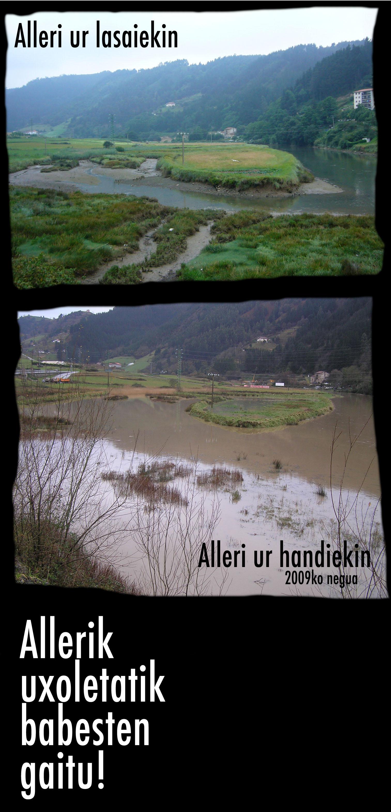 allerik uxoletatik babesten gaitu | www.blogak.com/aieri