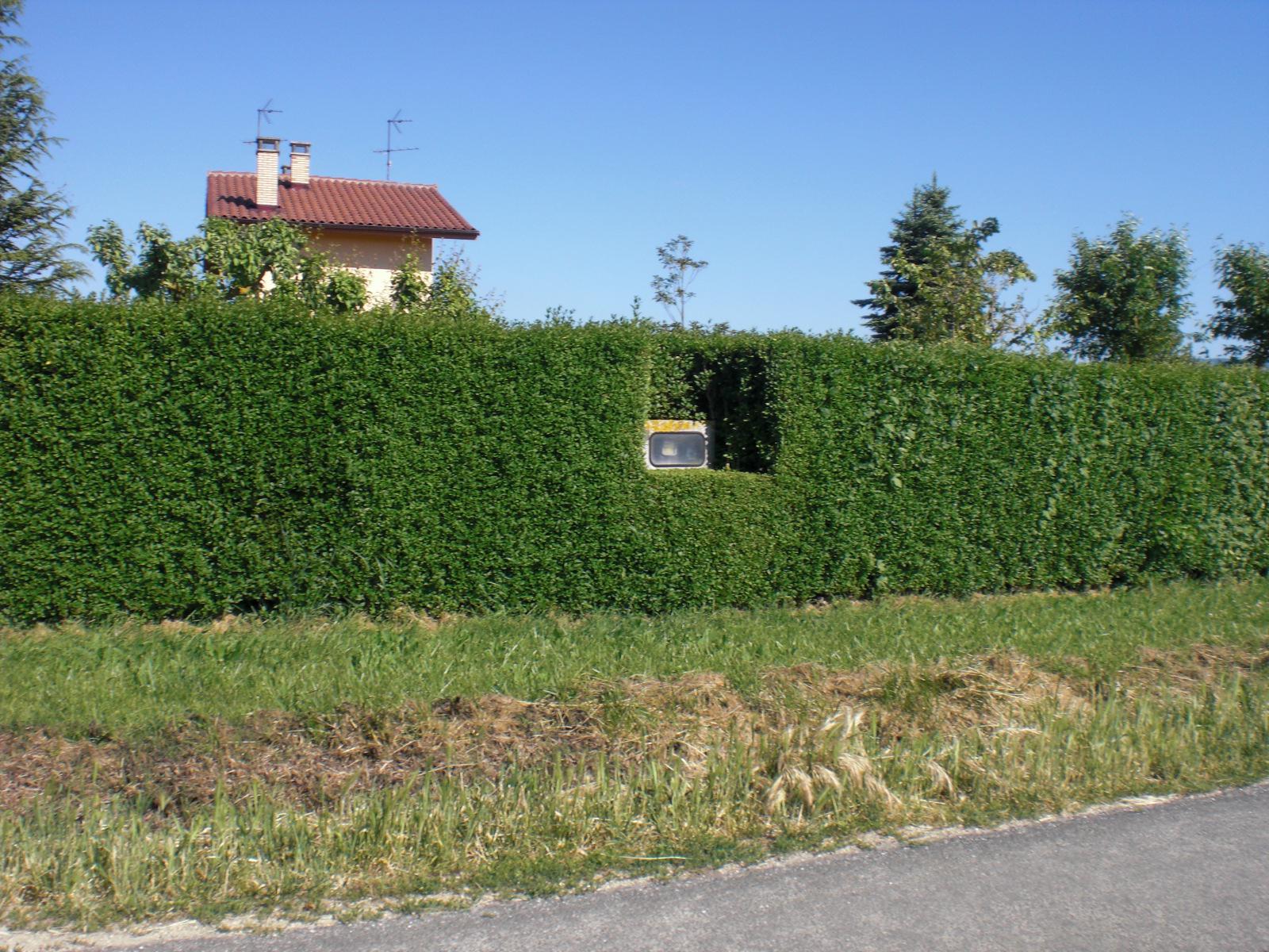 Ars Topiaria