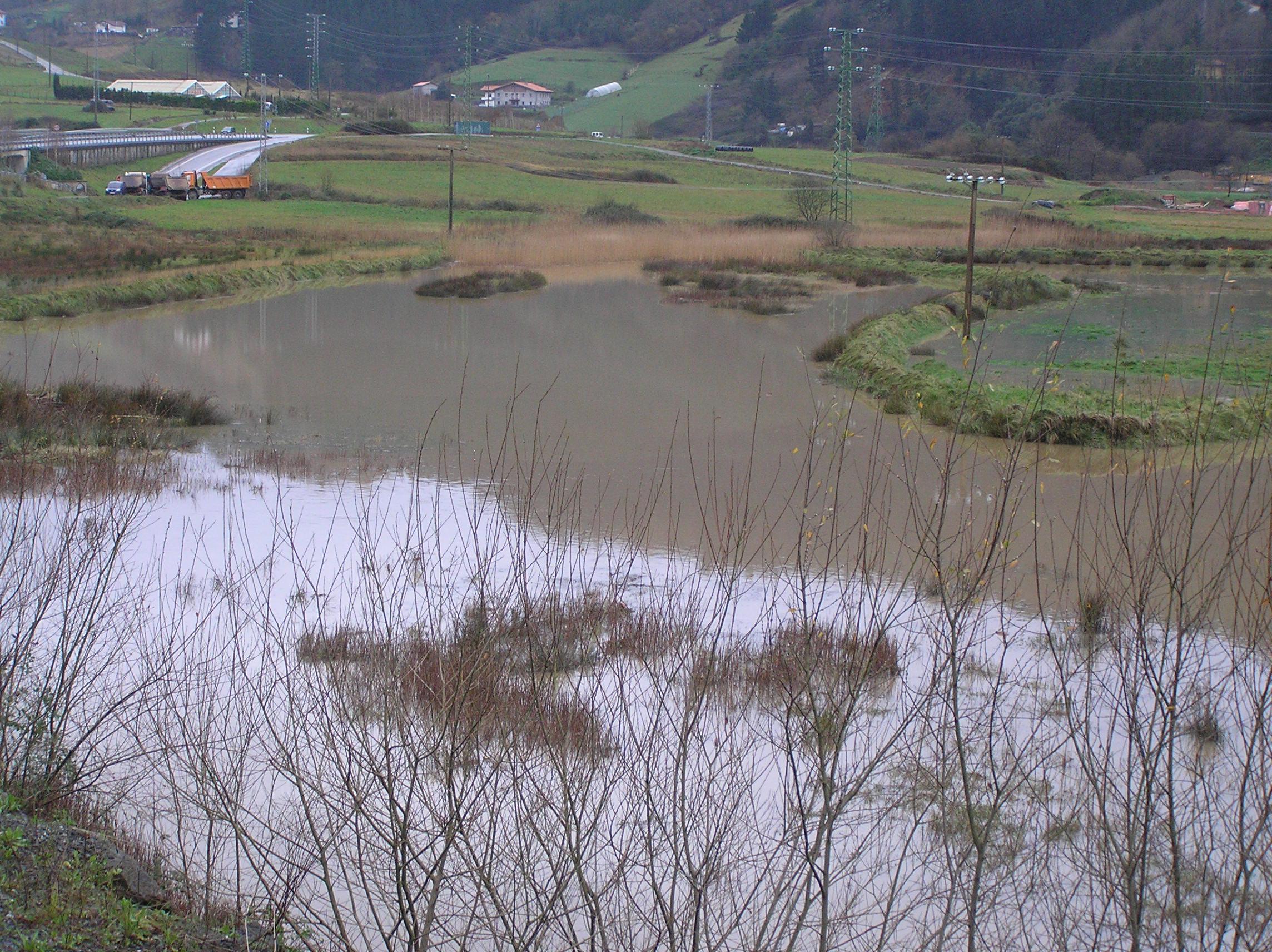 uxolak 2009ko negua