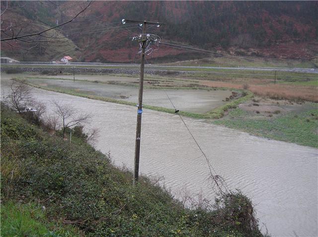 uxolak allerin 2009ko otsaila