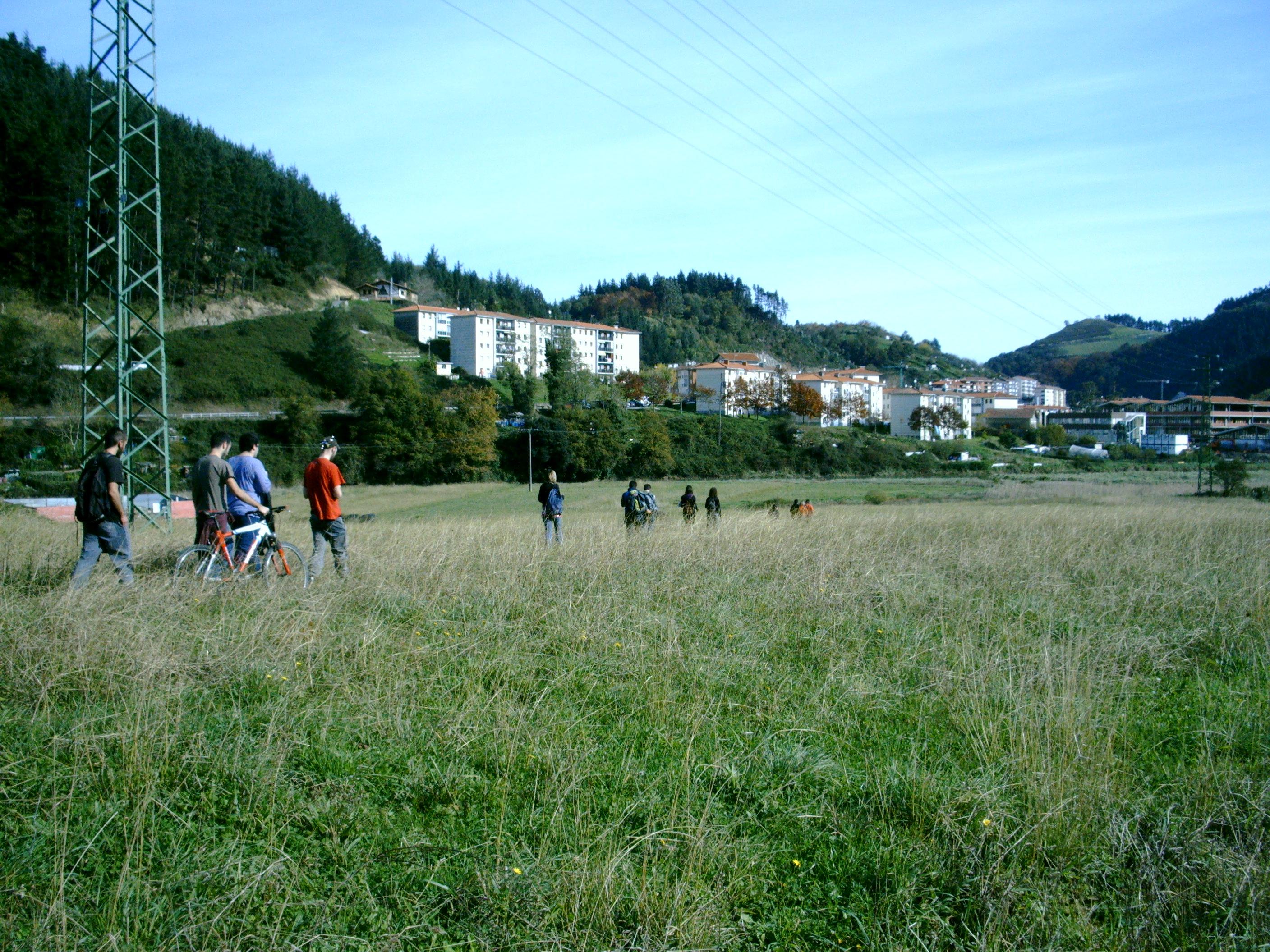 allerira irteera 2