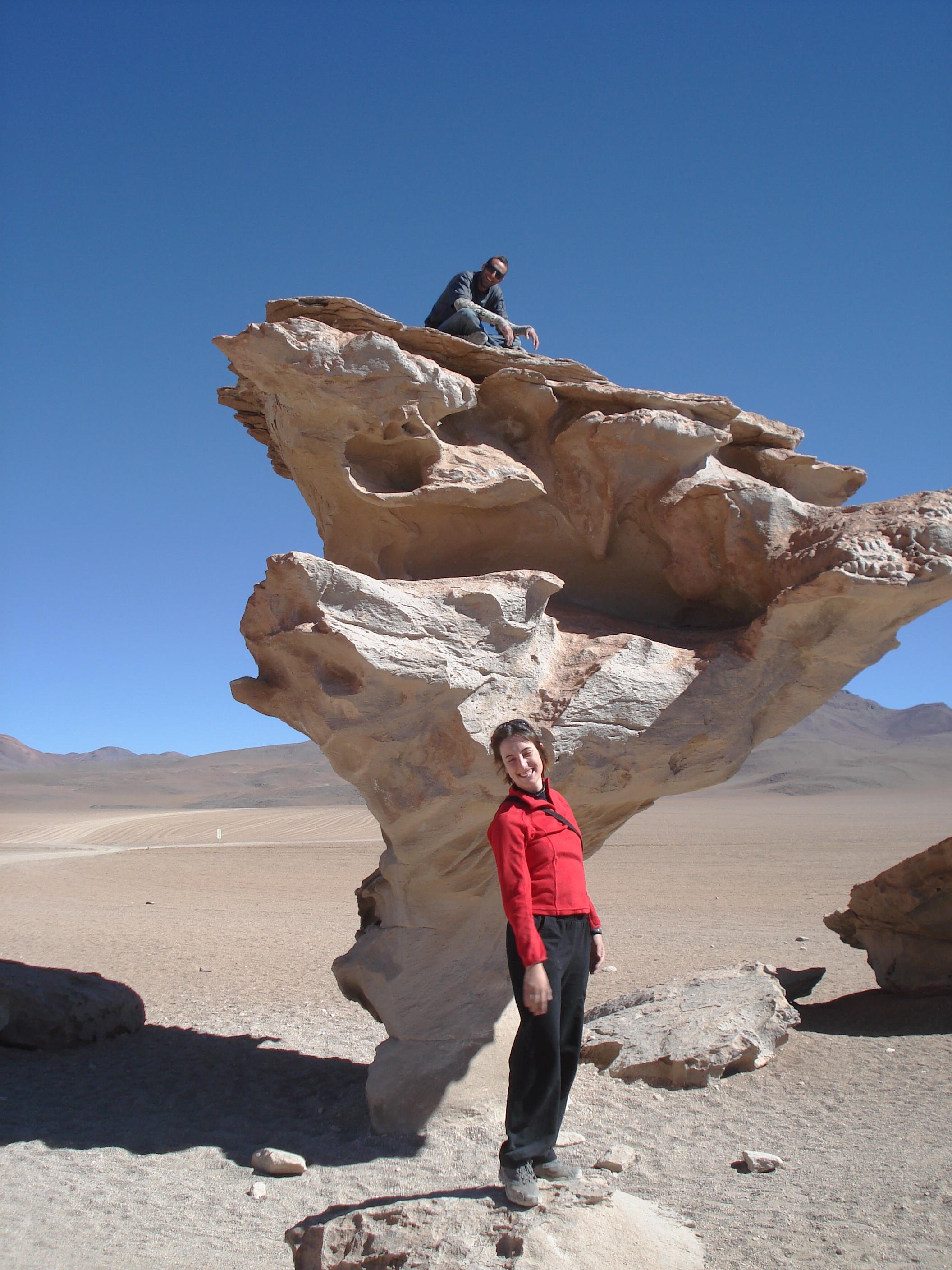 El arbol de piedra