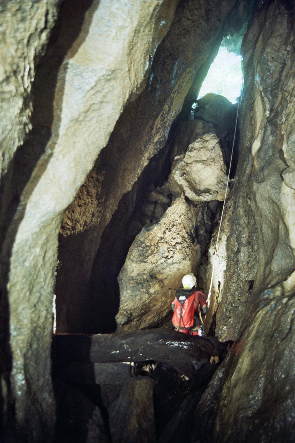 Sarreria barrutik