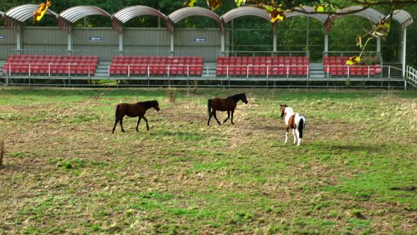 Mondra futbol taldeko azken hiru fitxaketak