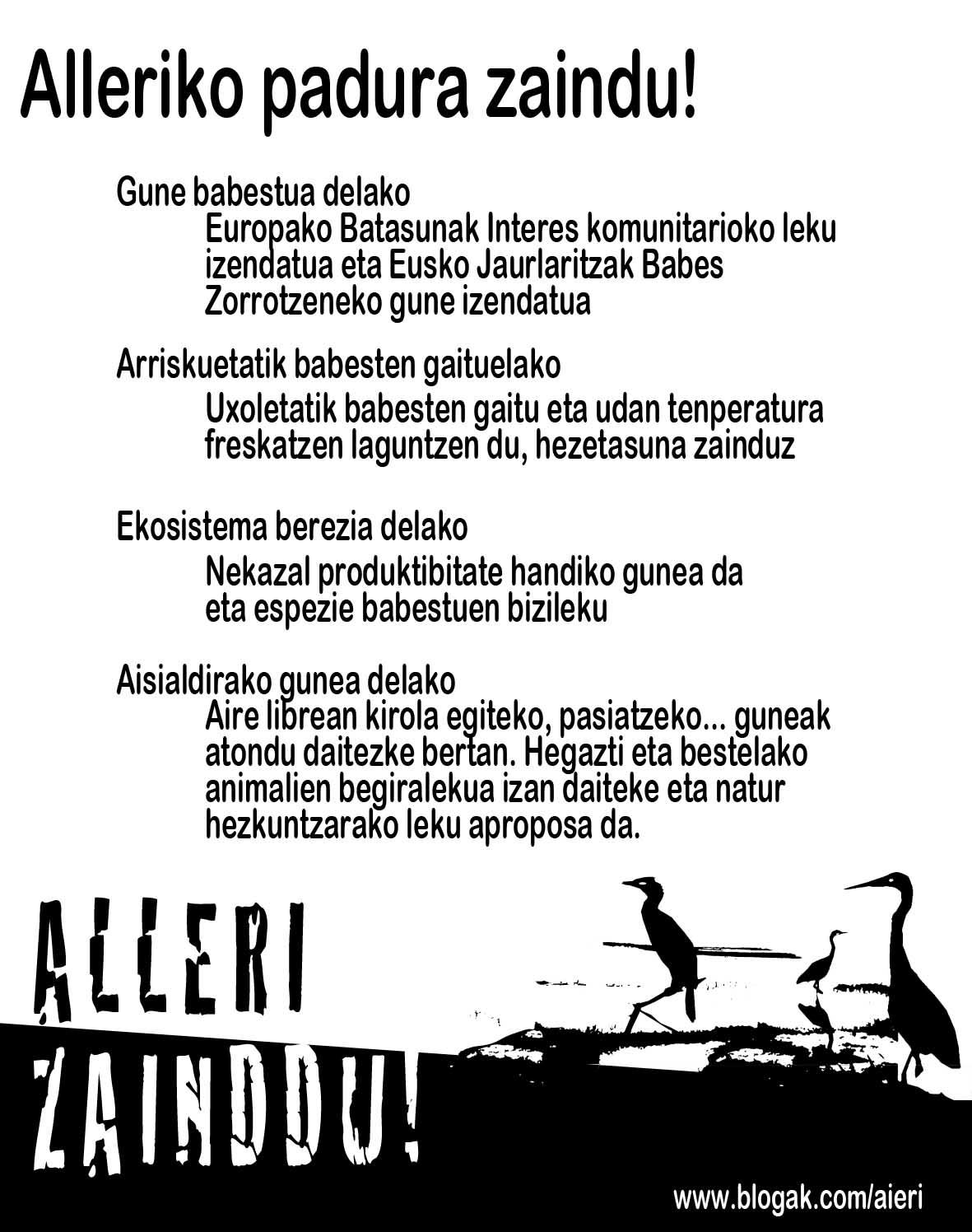 udako eskuorrixe 2