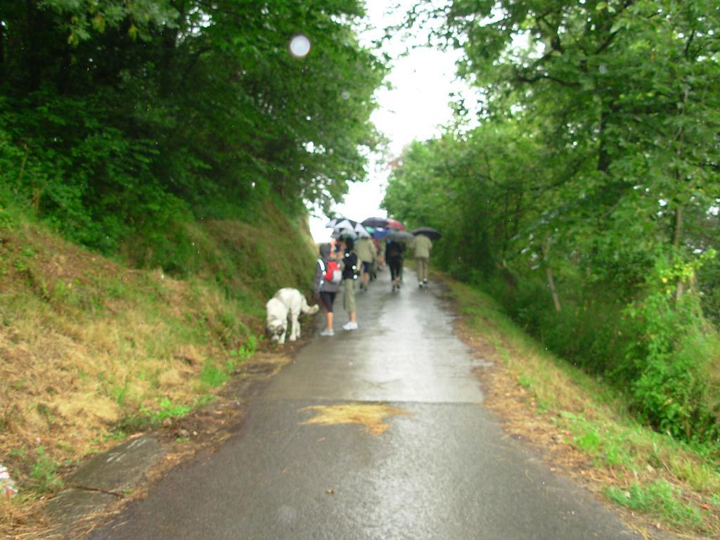 3.mendi martxa