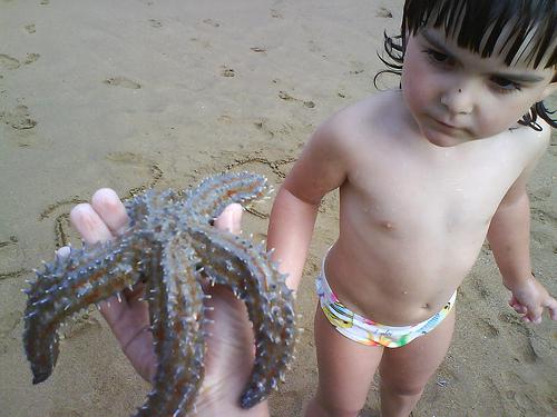 Itsasoko Izarra