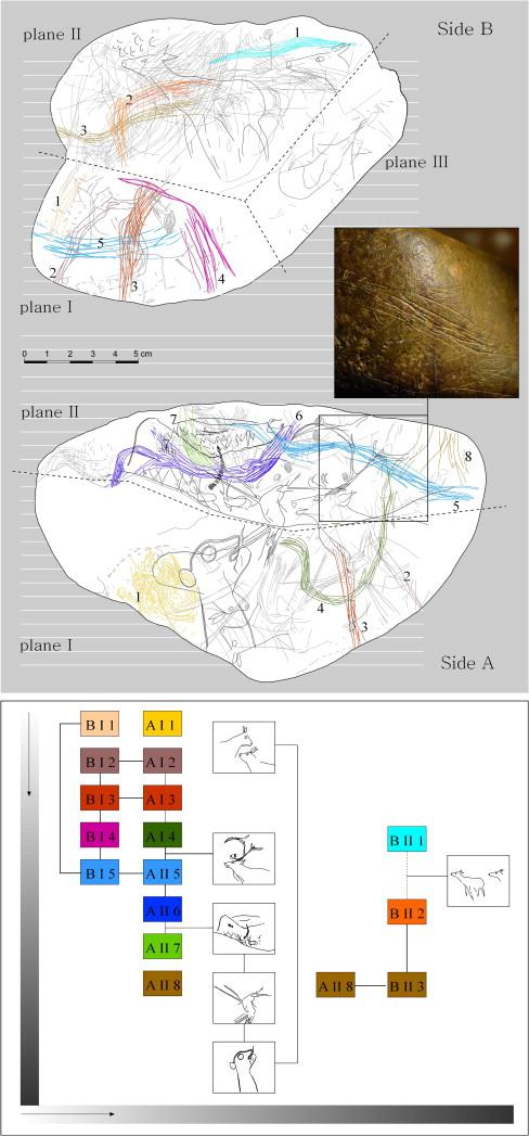abauntz fig 4