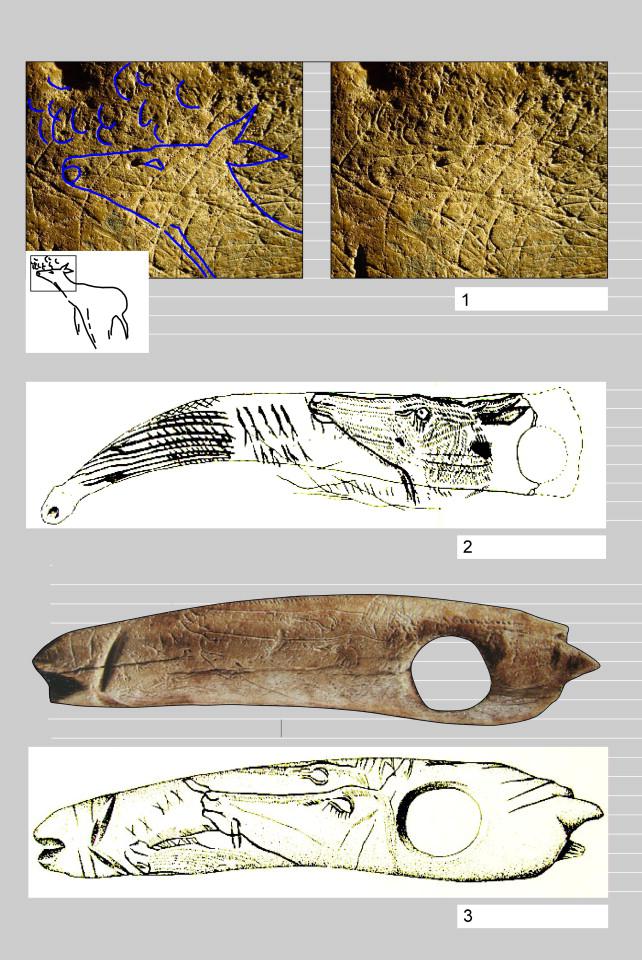 Abauntz fig 5