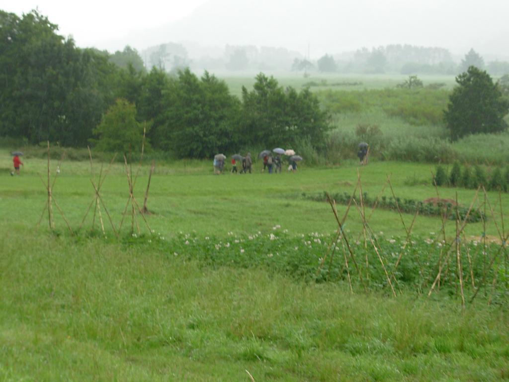 3.mendi martxa
