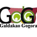 galdakaogogora.oroimenhistorik