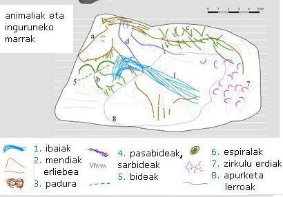 Abauntz, animaliak eta lurraldea