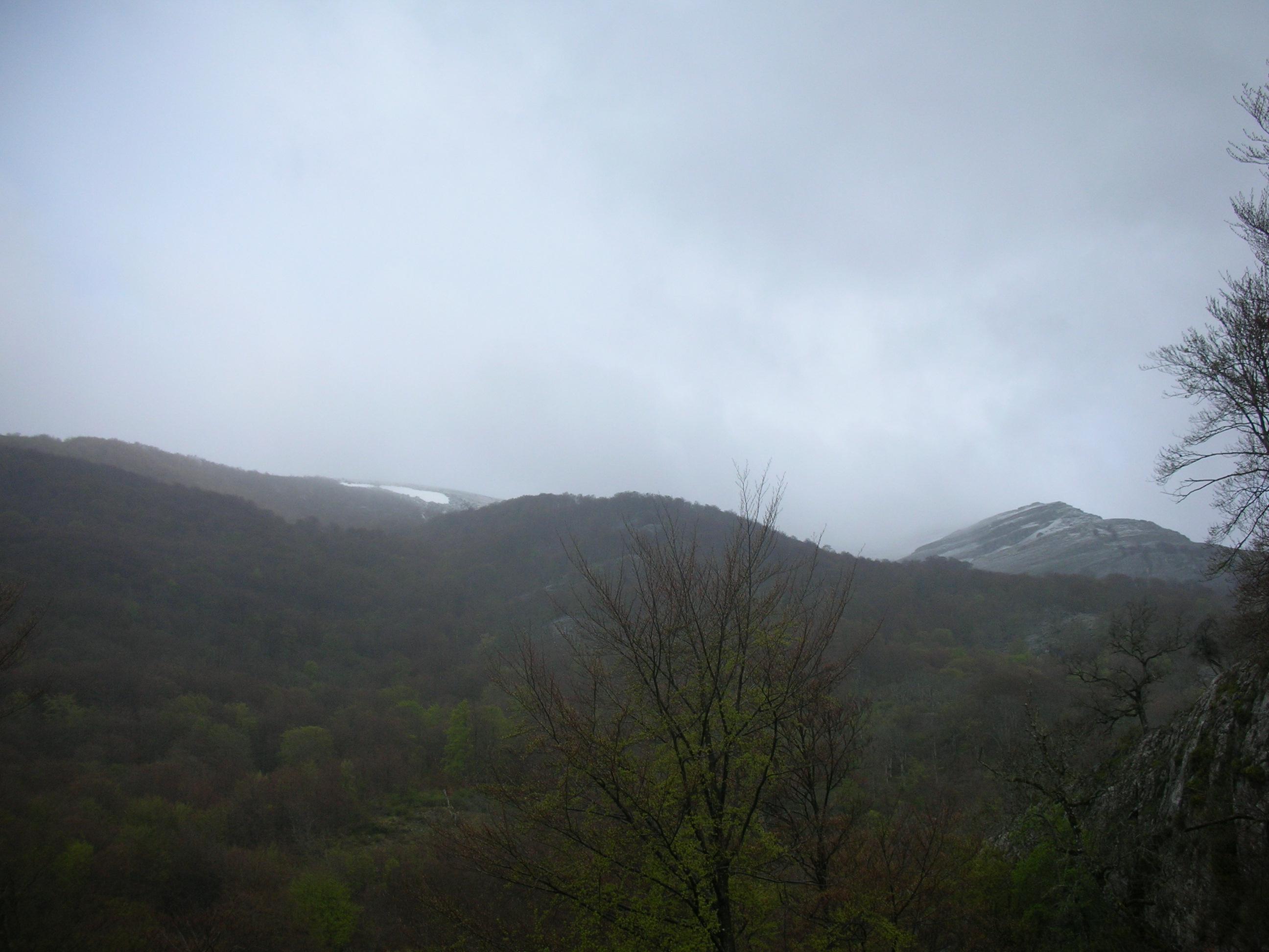 Gorbeia