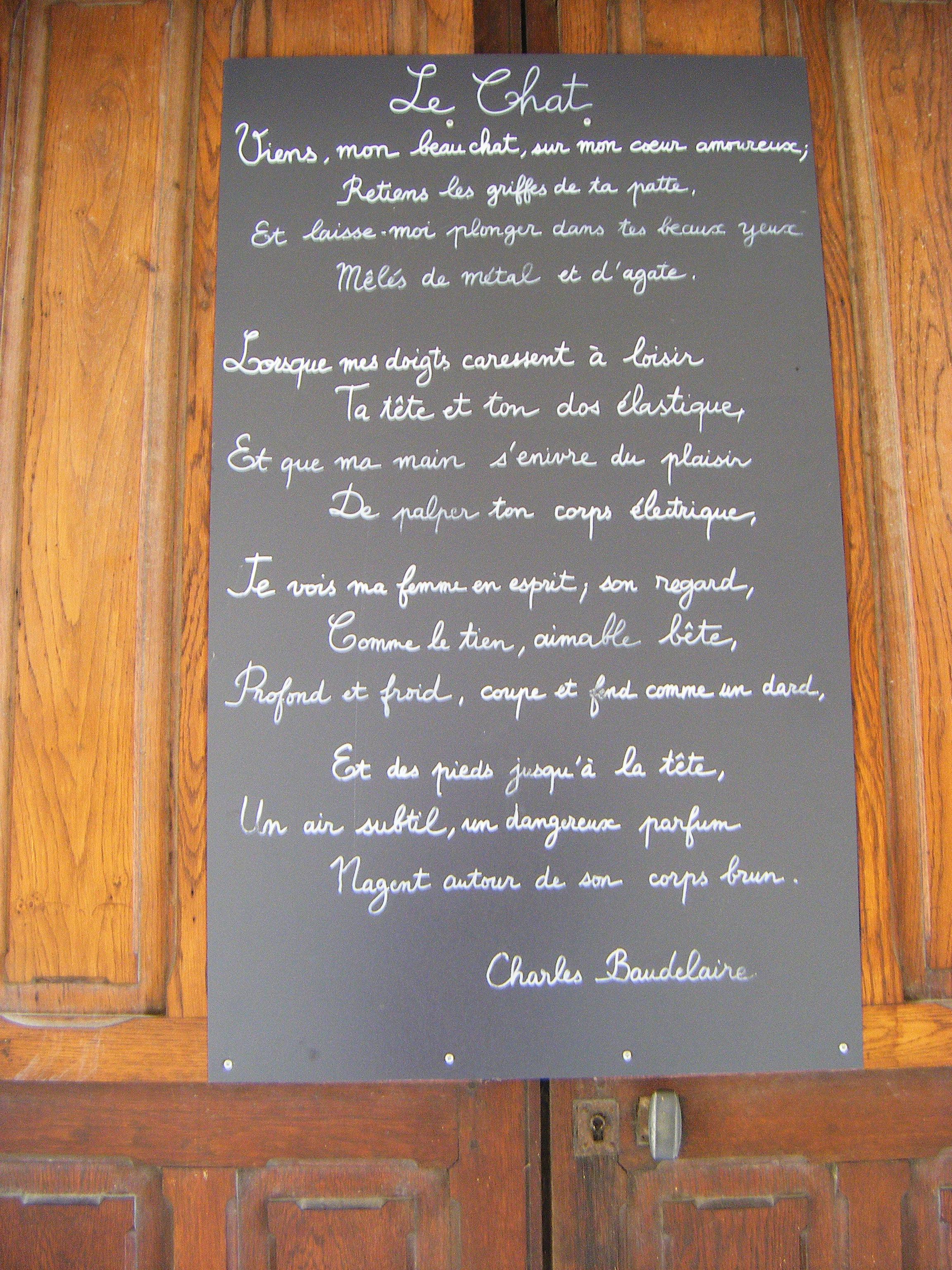 Le chat