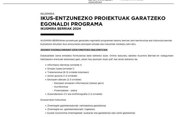 Ezin euskara hutsez proiekturik aurkeztu Donostiako Zinemaldiko sustapen deialdi batera