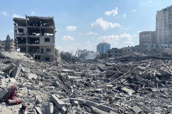 Commonseko urteko argazkiak: Gaza suntsituta, foka kumea, tximista ionosferikoa