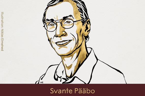 Svante Pääbo paleogenetistari Nobel saria