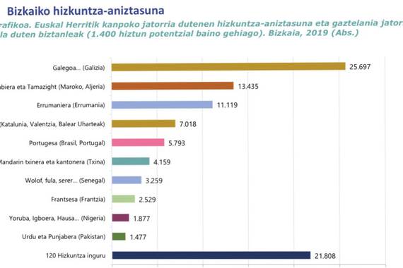Bizkaiko beste hizkuntzak