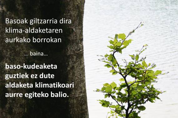 Garazi Auzmendirekin podcasta: Basoak eta klima aldaketa