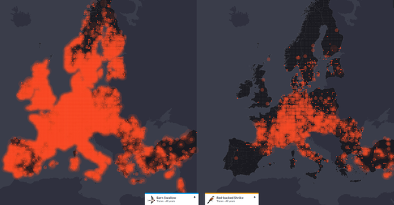 Hegaztien migrazioa irudikatzen duten mapa animatuak