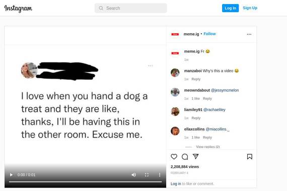 Bideo estatikoak, Instagrameko algoritmoen azken ondorio inozoa
