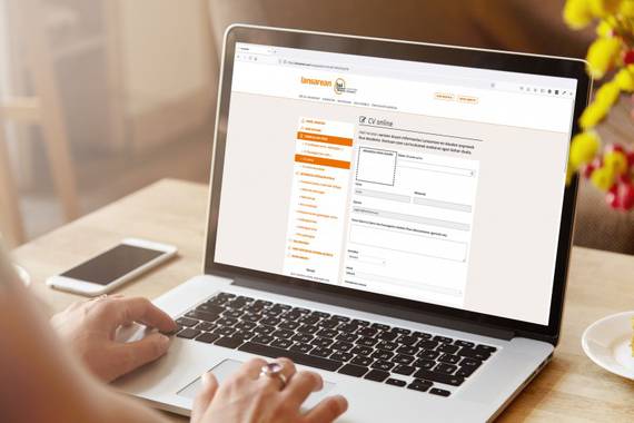 Berritasunak LanSarean lana bilatzeko webgunean