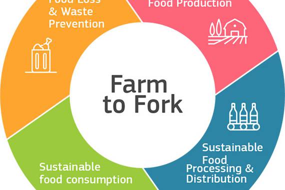 Europako Batzordearen 'Farm to Fork' estrategiari, euskarazko erantzuna